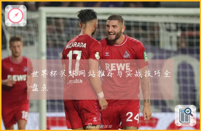 世界杯买球网站推荐与实战技巧全盘点