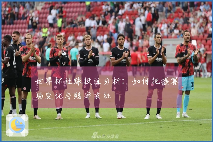 世界杯让球投注分析：如何把握赛场变化与赔率玄机