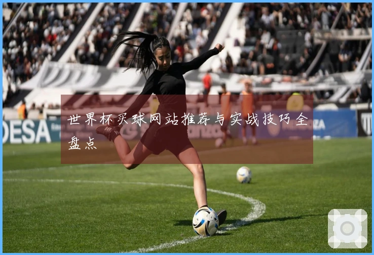 世界杯买球网站推荐与实战技巧全盘点