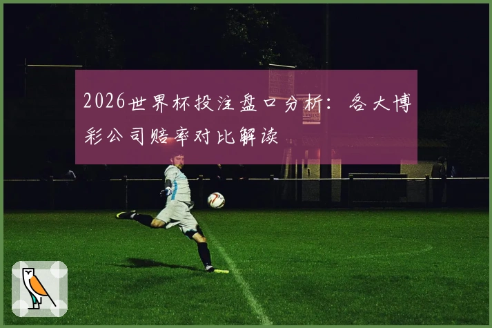 2026世界杯投注盘口分析：各大博彩公司赔率对比解读