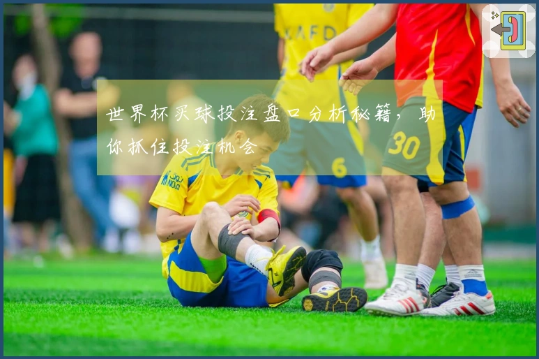 世界杯买球投注盘口分析秘籍，助你抓住投注机会